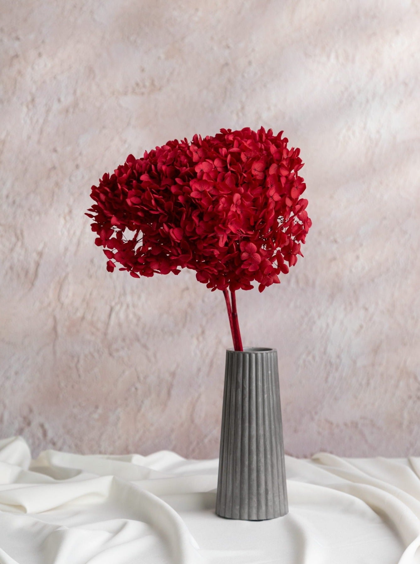 Сіра ваза з червоною стабілізованою гортензією - DecorFlowerBar
