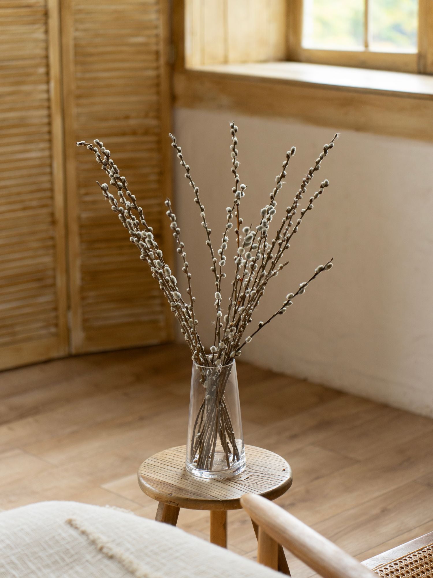 Вербові гілочки в конусній вазі