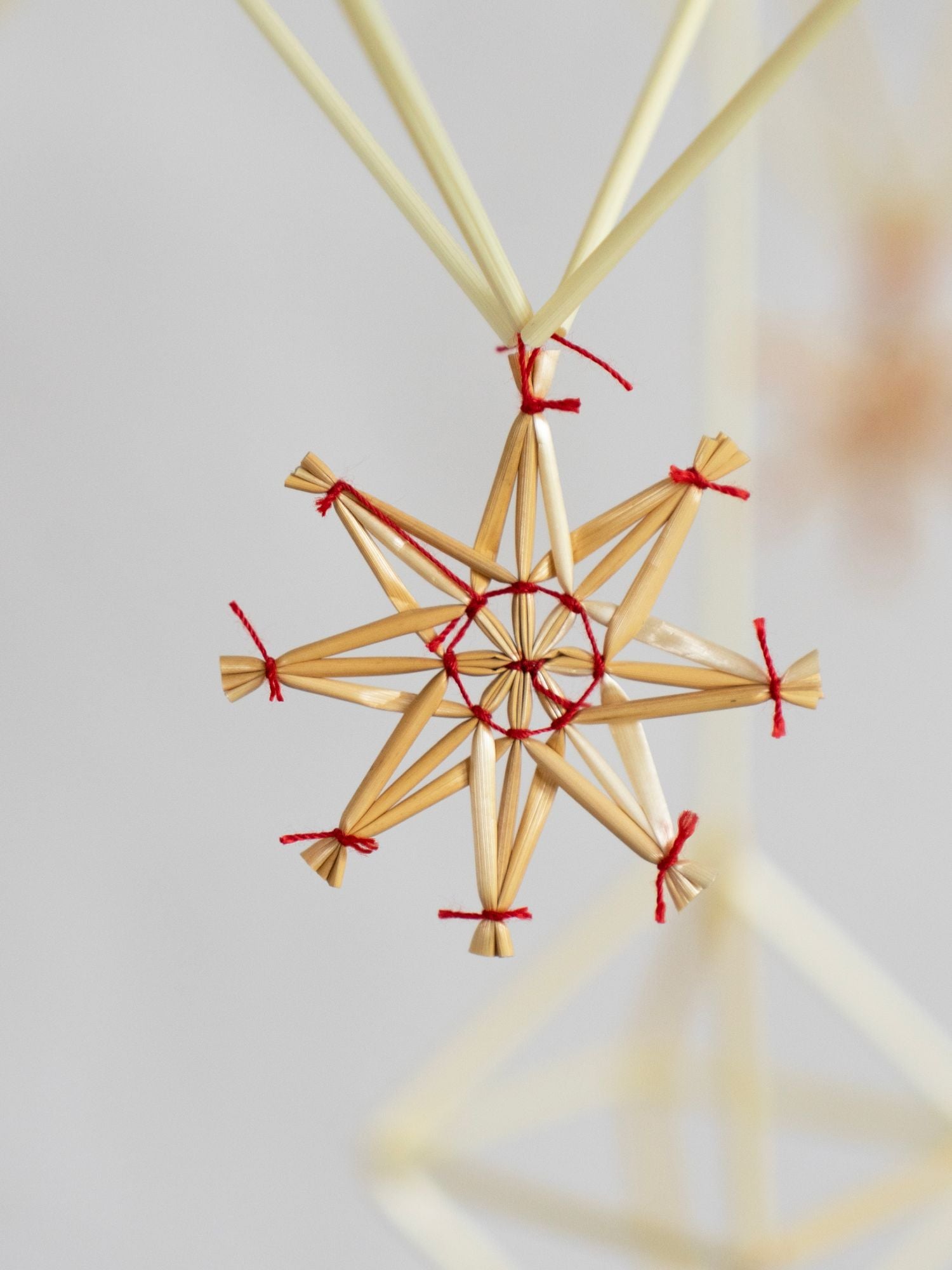 Різдвяний солом'яний павук