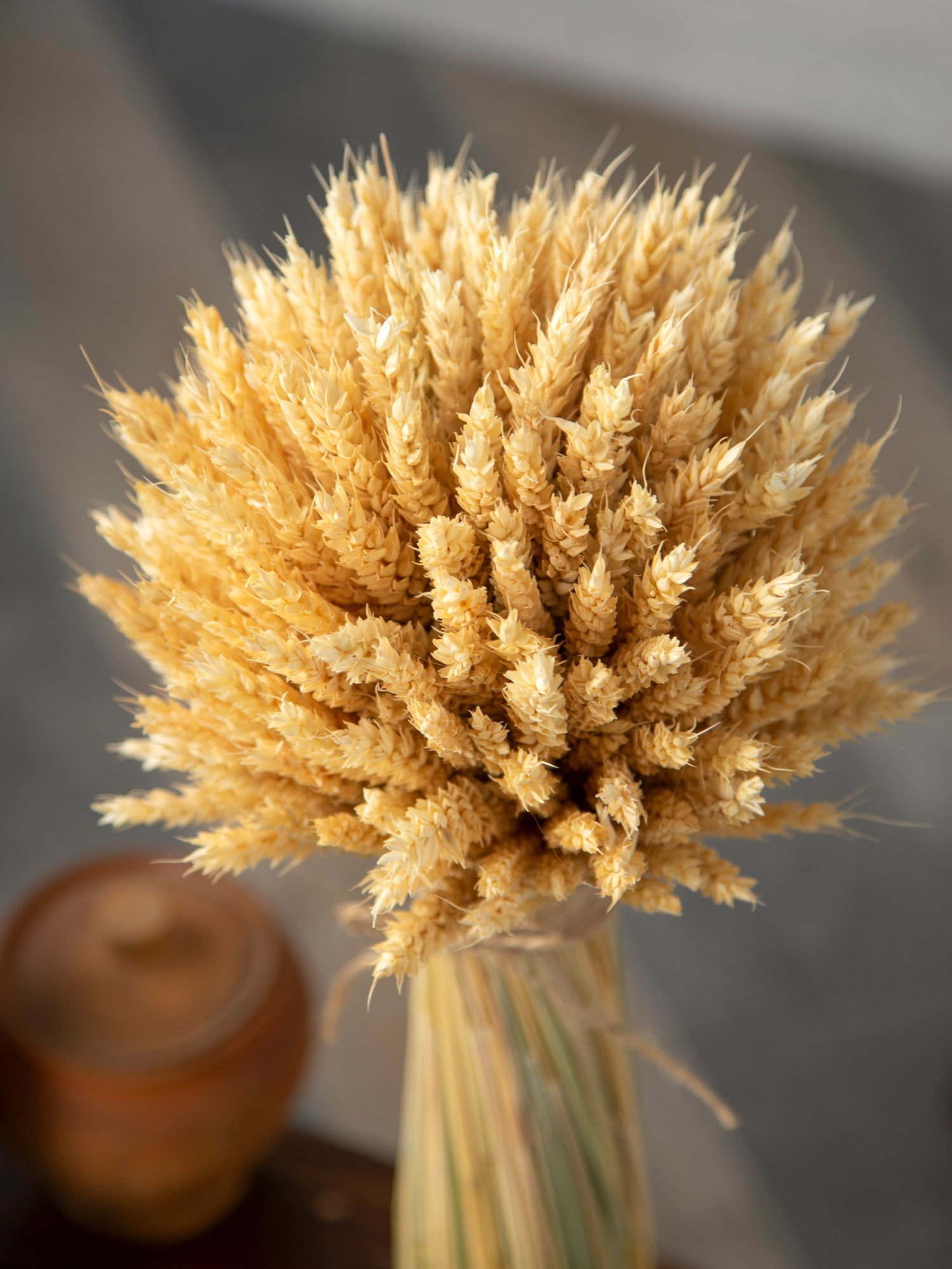 сніп із золотистою пшеницею снопи і дідухи