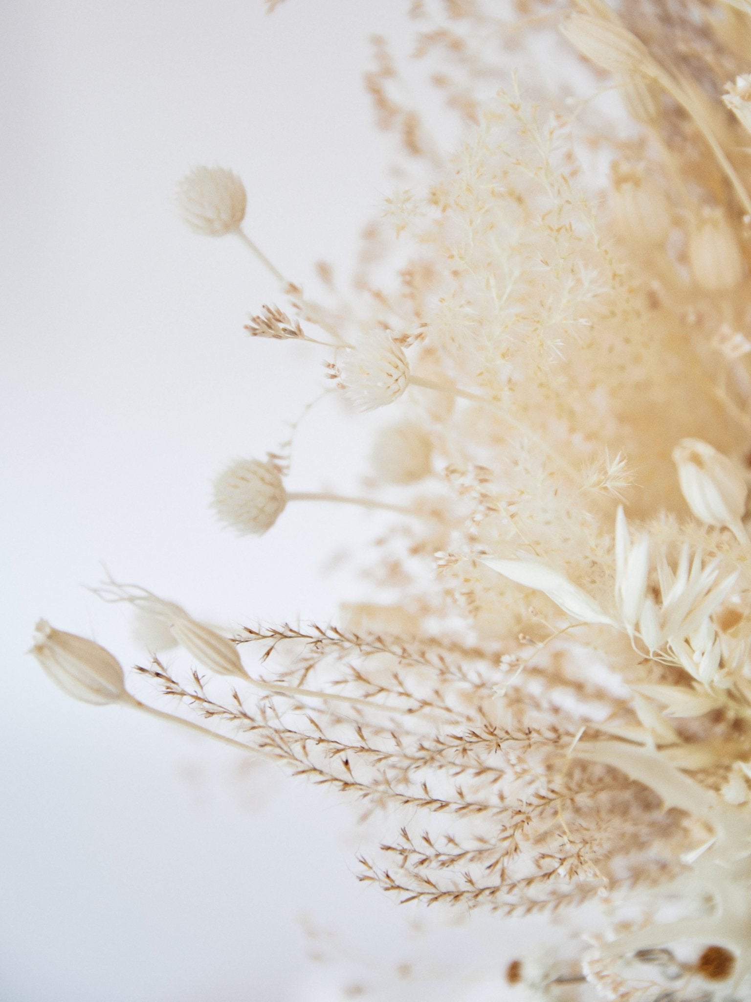 Букет нареченої білий із диких сухоцвітів - DecorFlowerBar