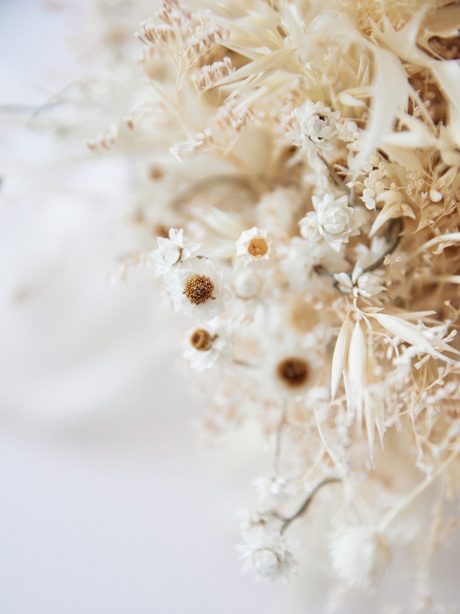 Букет нареченої білий із диких сухоцвітів - DecorFlowerBar