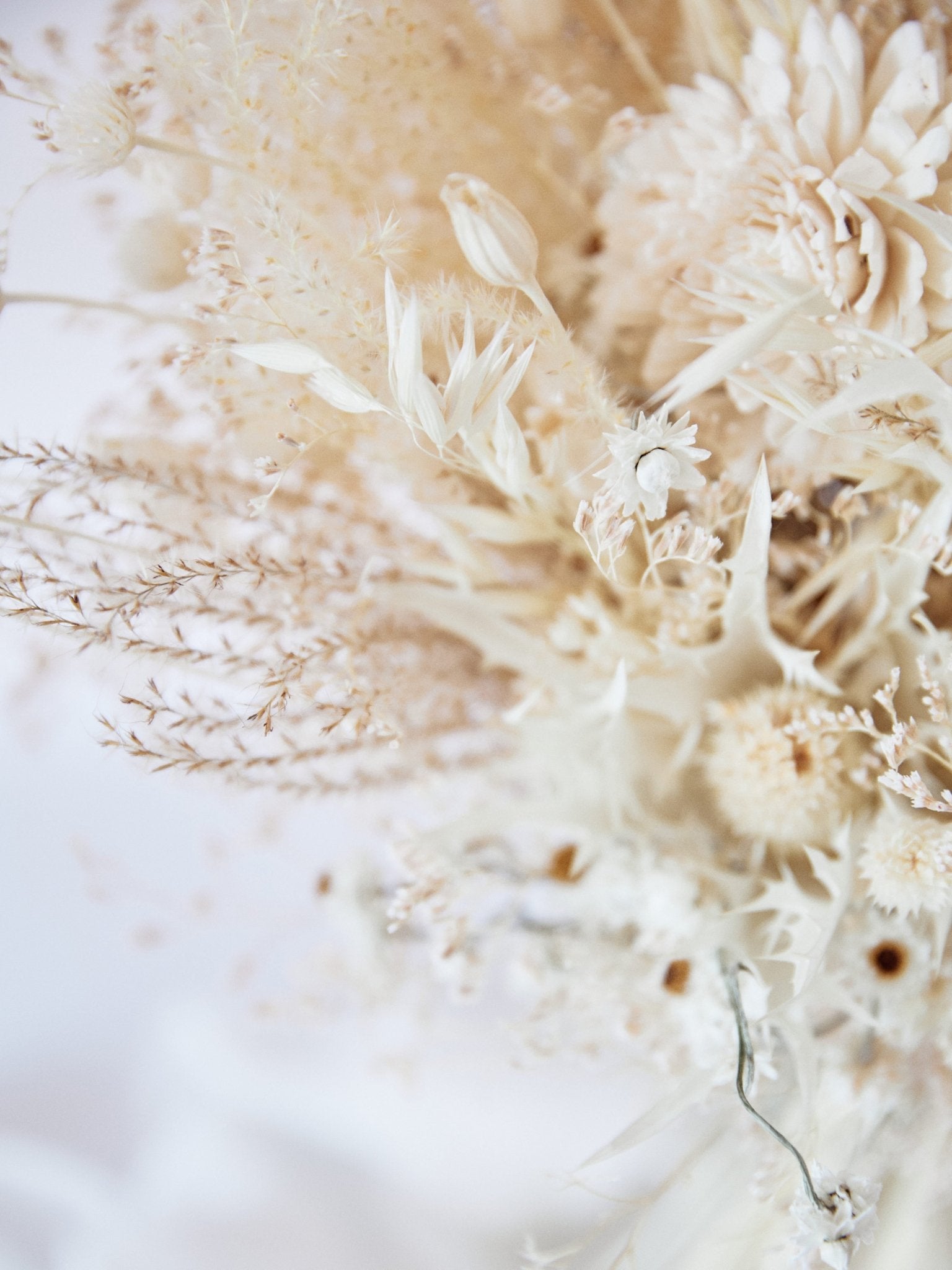 Букет нареченої білий із диких сухоцвітів - DecorFlowerBar