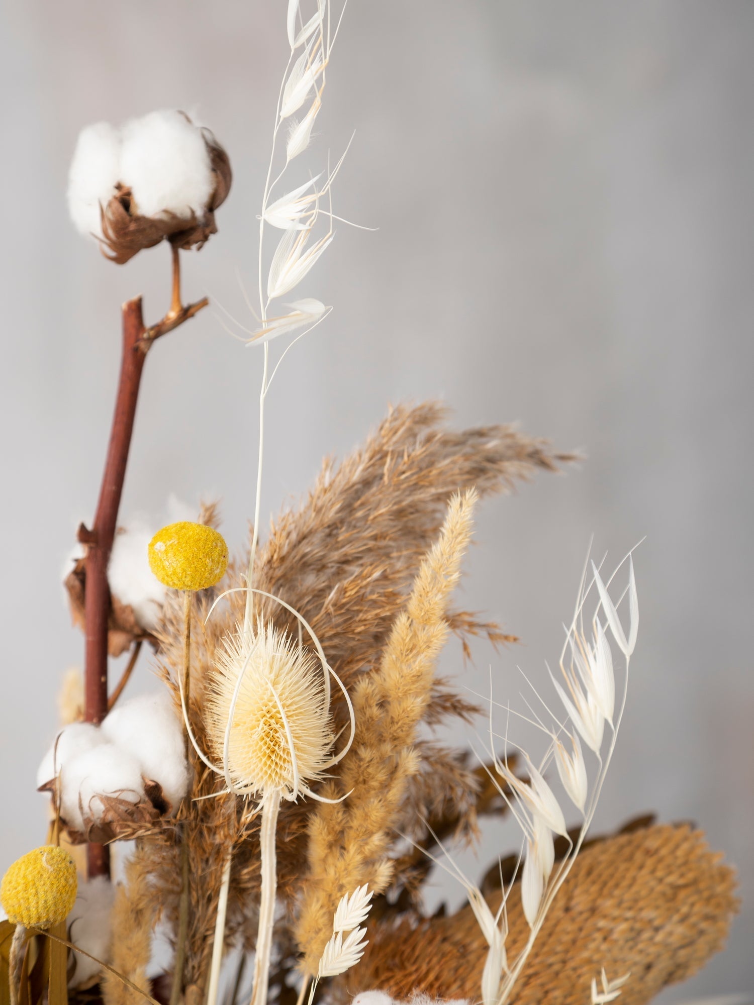 Букет з бавовною, банксією і соняшниками - DecorFlowerBar