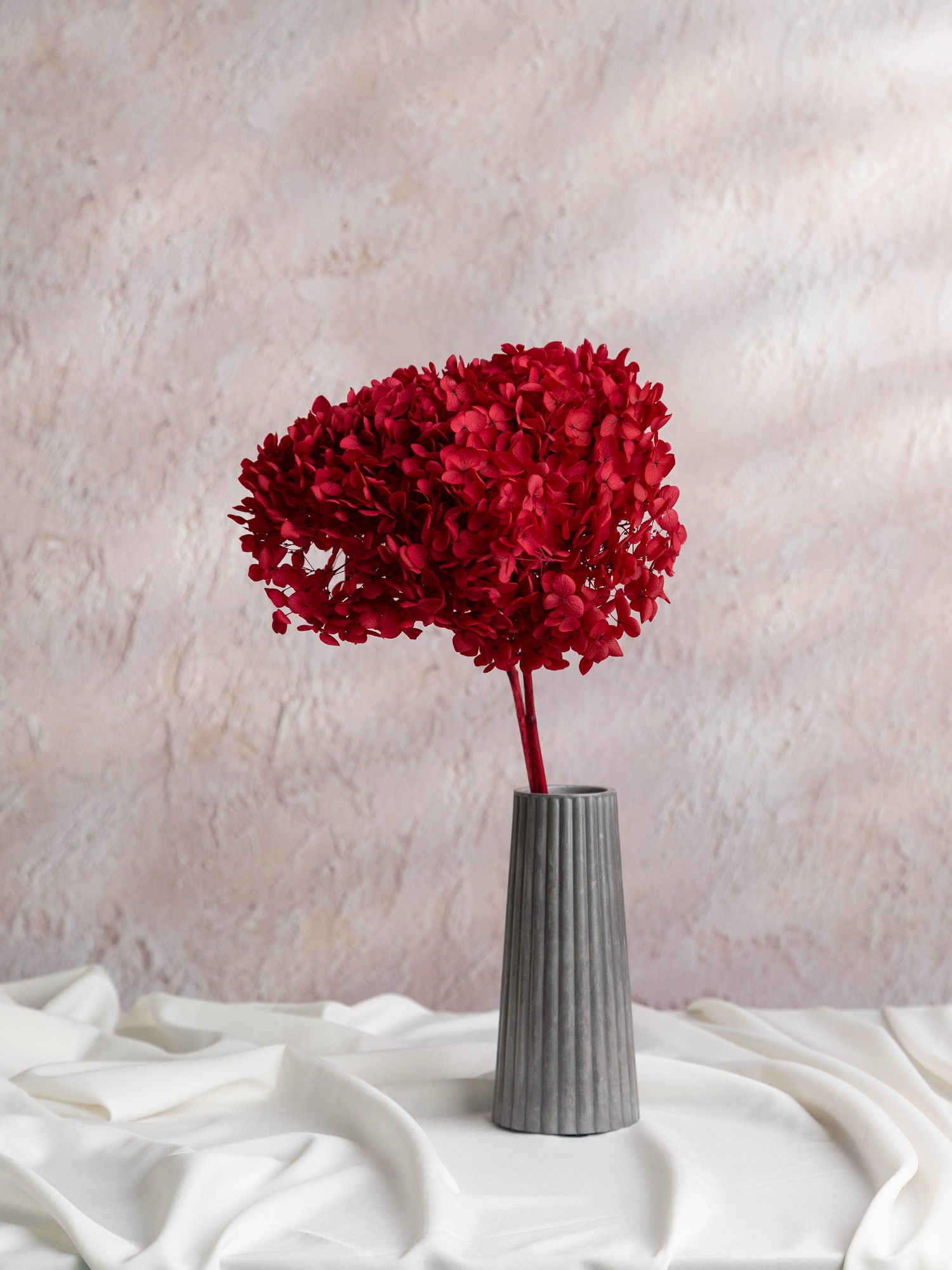 Сіра ваза з червоною стабілізованою гортензією - DecorFlowerBar