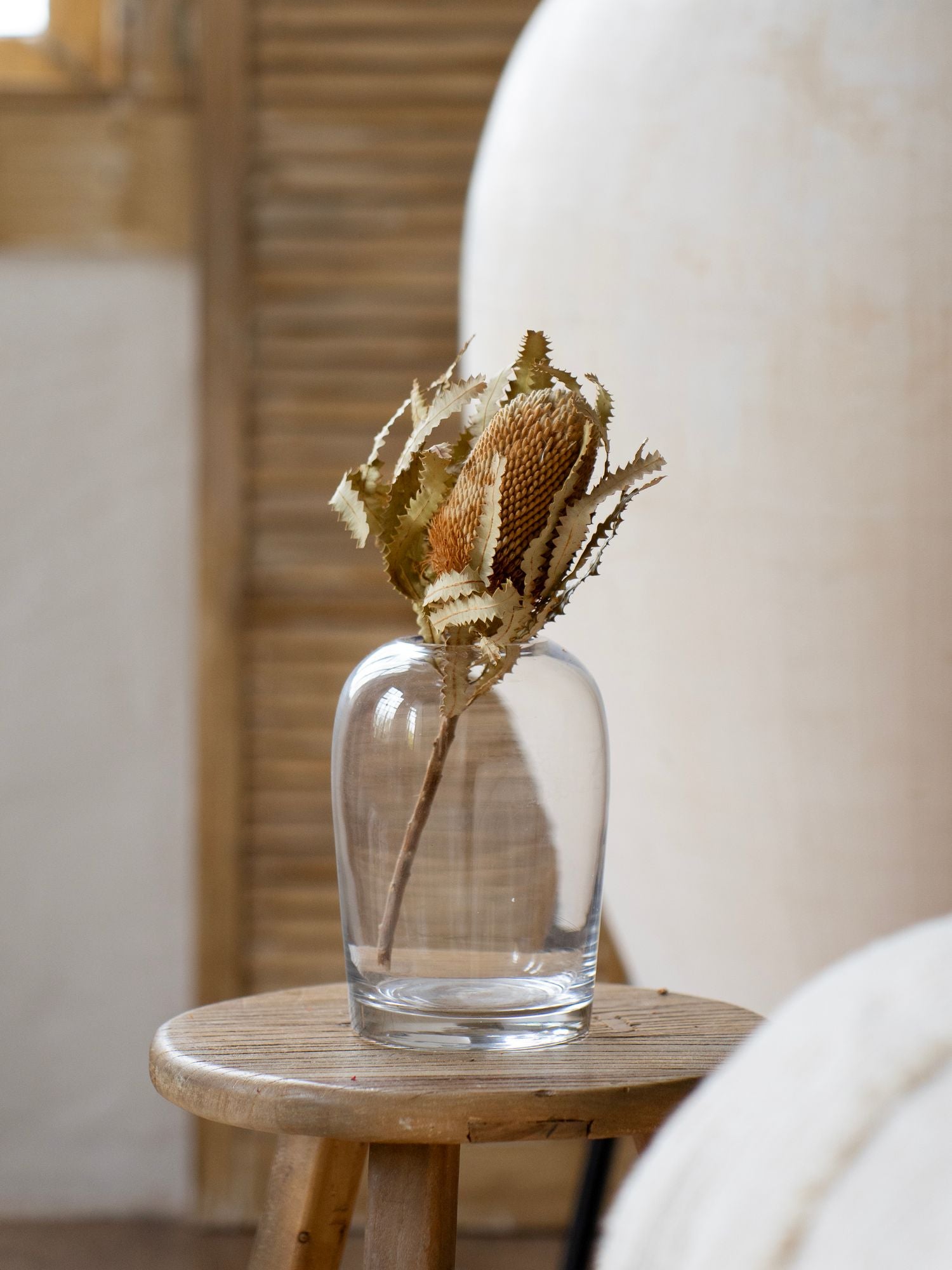 Натуральная банксия в прозрачной вазе